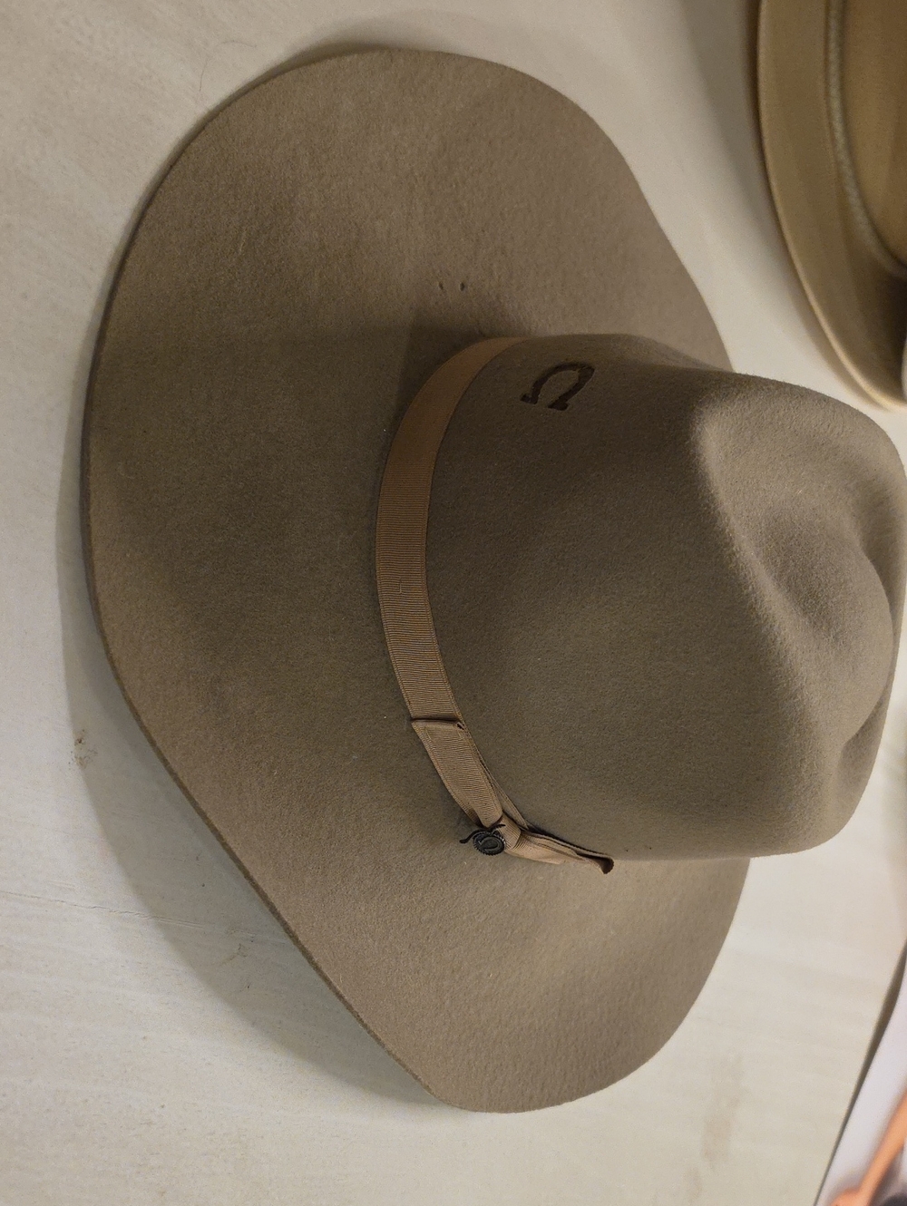 Charlie 1 Horse Women's Hat "Highway" - Silverbelly
Large